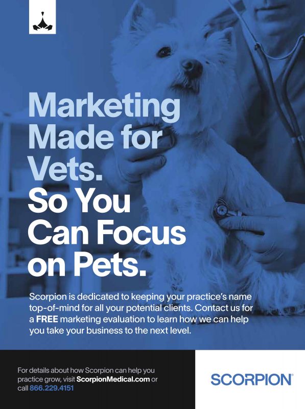 Scorpion_Medical---kw---Animal_Health_Category---Today___s_Veterinary_Business_-_April__May_2021---vet---USA---English---Print_Ad---pSP.jpg