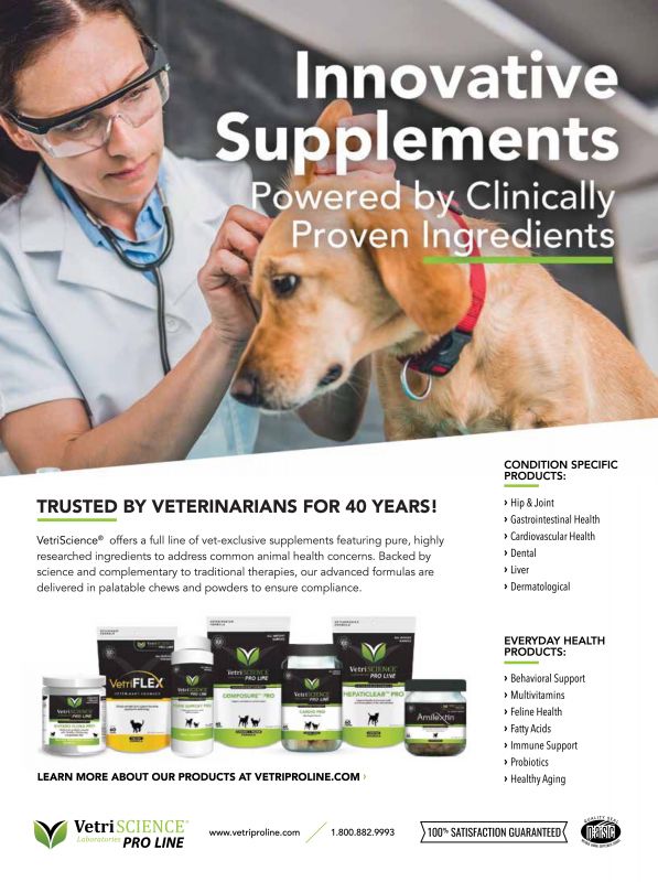 VetriScience---kw---Animal_Health_Category---Today___s_Veterinary_Business_-_April__May_2021---vet---USA---English---Print_Ad---pSP.jpg