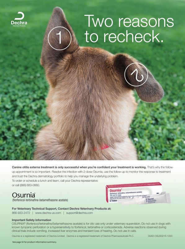 Osurnia---kw---Animal_Health_Category---Clinician___s_Brief_-_April__May_2021---vet---USA---English---Print_Ad---pSP.jpg