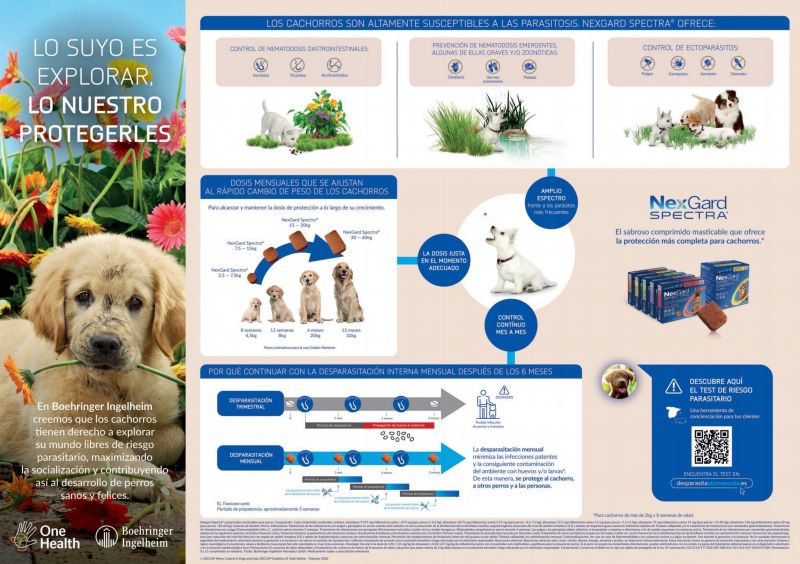 NexGard---Pages_two_and_three_of_four---Animal_Health_Category---Argos_-_No_228_-_May_2021---vet---Spain---Spanish---Print_Ad---4-page_ad.jpg