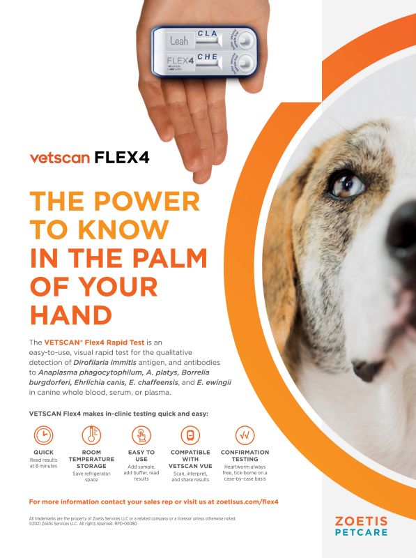 Vetscan---kw---Animal_Health_Category---Today___s_Veterinary_Business_-_June__July_2021---vet---USA---English---Print_Ad---pSP.jpg