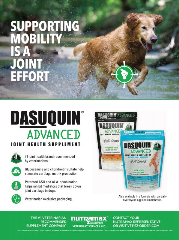Dasuquin---kw---Animal_Health_Category---Clinician___s_Brief_-_July_2021---vet---USA---English---Print_Ad---pSP.jpg