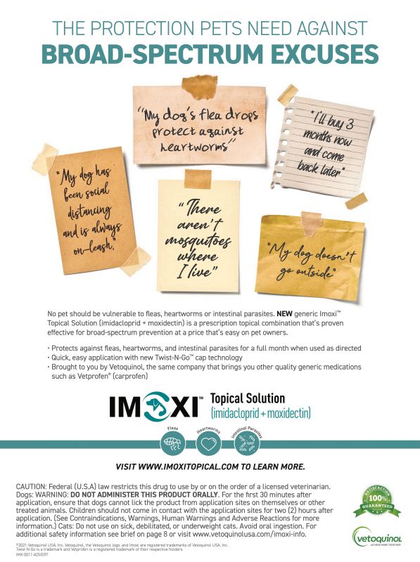 Imoxi---kw---Animal_Health_Category---Clinician___s_Brief_-_July_2021---vet---USA---English---Print_Ad---pSP.jpg