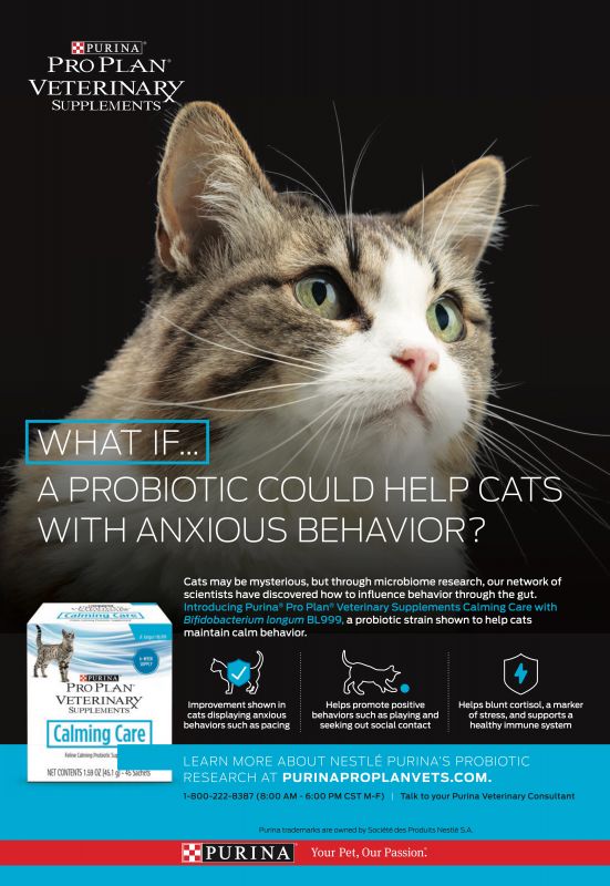 Purina_ProPlan---kw---Animal_Health_Category---Clinician___s_Brief_-_July_2021---vet---USA---English---Print_Ad---pSP.jpg