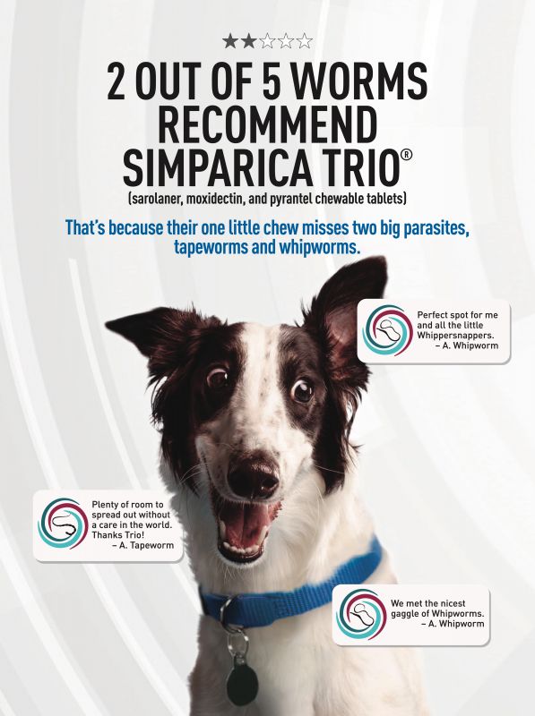 Simparica---kw---Animal_Health_Category---Clinician___s_Brief_-_July_2021---vet---USA---English---Print_Ad---pSP.jpg