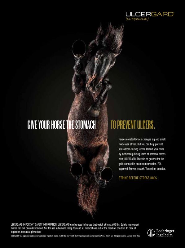 UlcerGard---kw---Animal_Health_Category---Veterinary_Advantage_-_Vol_13_-_Issue_4_-_August_2021---vet---USA---English---Print_Ad---pSP.jpg
