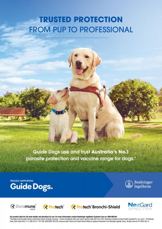 Boehringer_Ingelheim---GuideDogs---Animal_Health_Category---Vet_Practice_-_July_2021---vet---Australia---English---Print_Ad---pSP.jpg