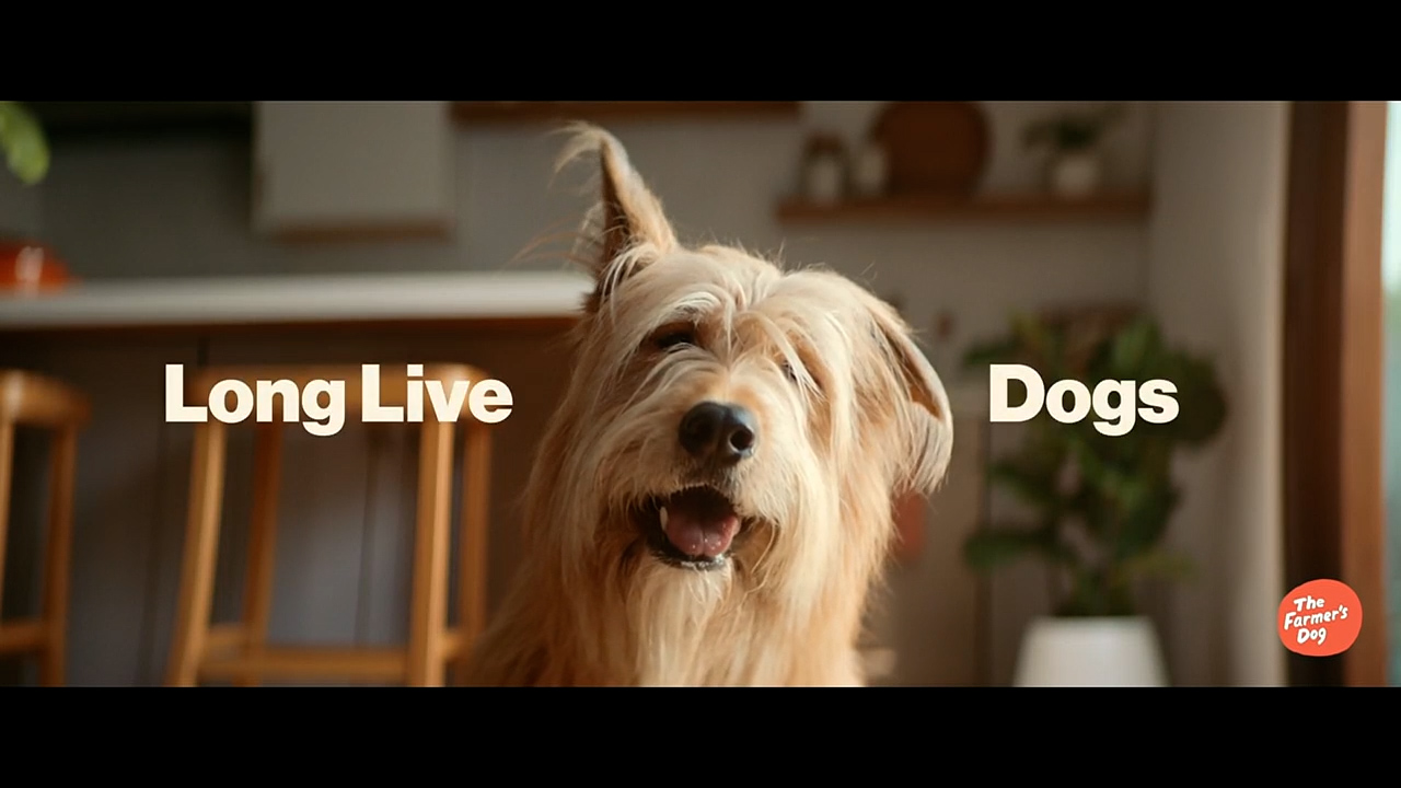 The_Farmers_Dog---kw---Animal_Health_Category---Msnbc_-_August_31--2021---dtc---USA---English---TV_commercial---30_seconds.mp4