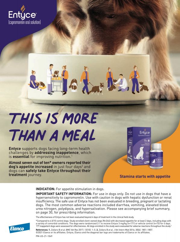 Entyce---kw---Animal_Health_Category---Clinician___s_Brief_-_Vol_19_-_No_6_-_September_2021---vet---USA---English---Print_Ad---pSP.jpg