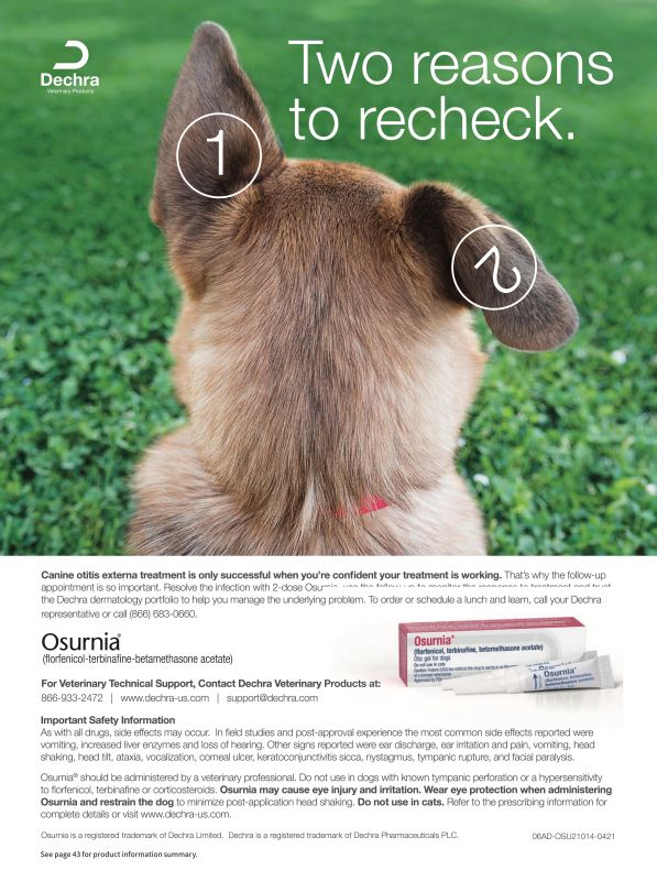 Osurnia---kw---Animal_Health_Category---Clinician___s_Brief_-_Vol_19_-_No_6_-_September_2021---vet---USA---English---Print_Ad---pSP.jpg