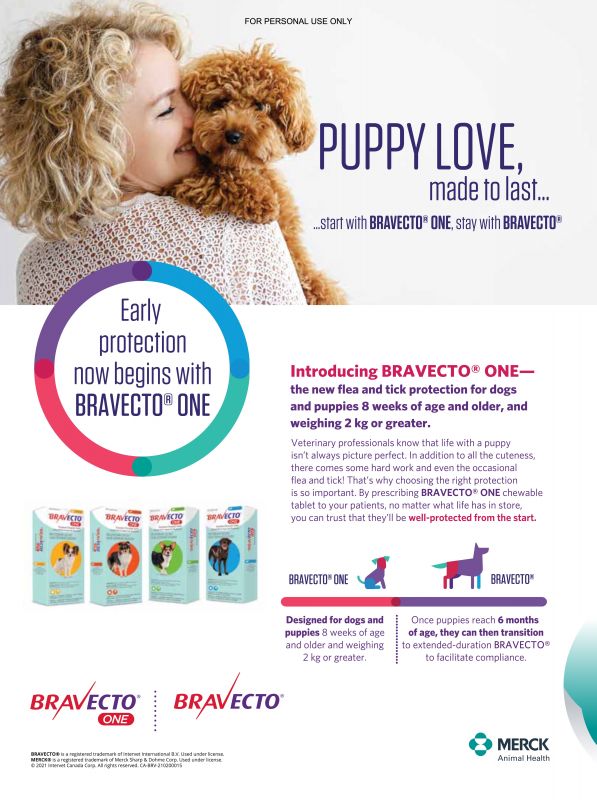 Bravecto---kw---Animal_Health_Category---The_Canadian_Veterinary_Journal_-_Vol_62_-_No_06_-_June_2021---vet---Canada---English---Print_Ad---pSP.jpg