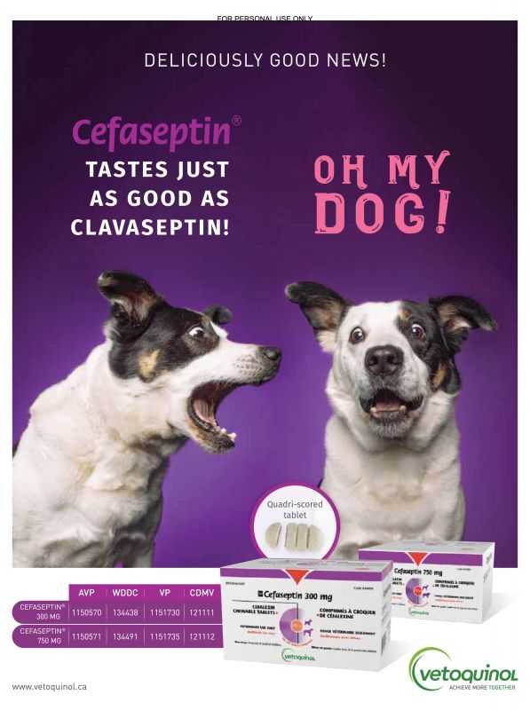 Cefaseptin---kw---Animal_Health_Category---The_Canadian_Veterinary_Journal_-_Vol_62_-_No_06_-_June_2021---vet---Canada---English---Print_Ad---pSP.jpg