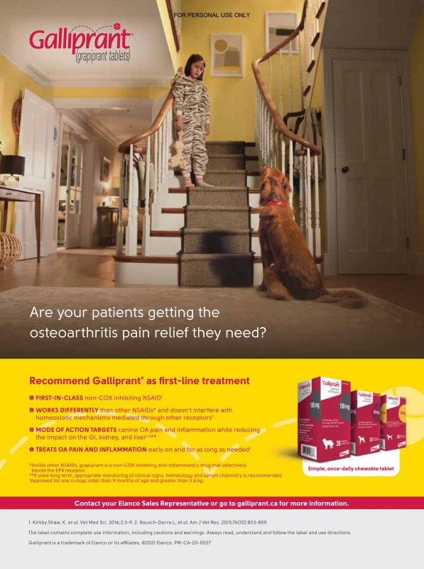 Galliprant---kw---Animal_Health_Category---The_Canadian_Veterinary_Journal_-_Vol_62_-_No_08_-_August_2021---vet---Canada---English---Print_Ad---pSP.jpg