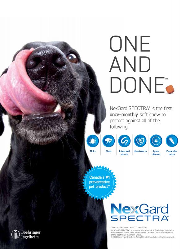 NexGard---kw---Animal_Health_Category---The_Canadian_Veterinary_Journal_-_Vol_62_-_No_09_-_September_2021---vet---Canada---English---Print_Ad---pSP.jpg