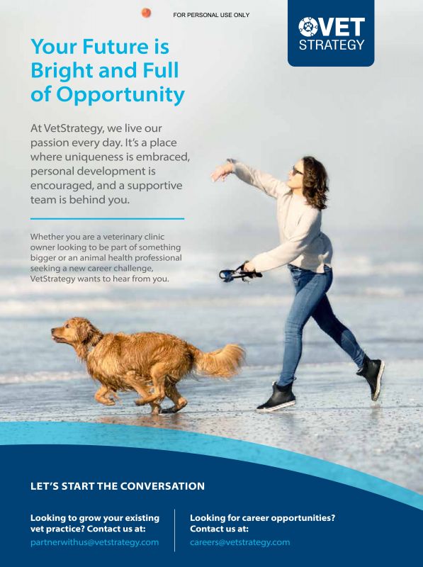 Vet_Strategy---kw---Animal_Health_Category---The_Canadian_Veterinary_Journal_-_Vol_62_-_No_07_-_July_2021---vet---Canada---English---Print_Ad---pSP.jpg