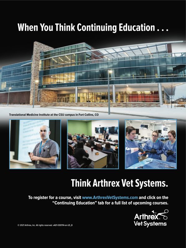 Arthrex---kw---Animal_Health_Category---Clinician___s_Brief_-_Vol_19_-_No_7_-_October_2021---vet---USA---English---Print_Ad---pSP.jpg