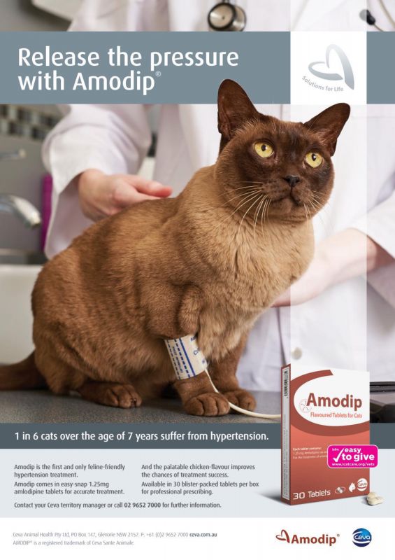 Amodip---kw---Animal_Health_Category---Vet_Practice_-_October_2021---vet---Australia---English---Print_Ad---pSP.jpg