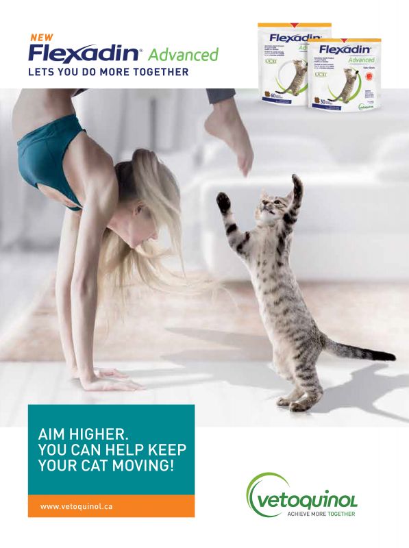 Flexadin---kw---Animal_Health_Category---The_Canadian_Veterinary_Journal_-_Vol_62_-_No_10_-_October_2021---vet---Canada---English---Print_Ad---pSP.jpg