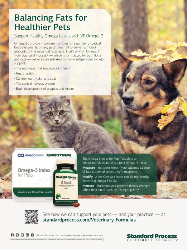 Standard_process---kw---Animal_Health_Category---DVM360_-_October_2021---vet---USA---English---Print_Ad---pSP.jpg