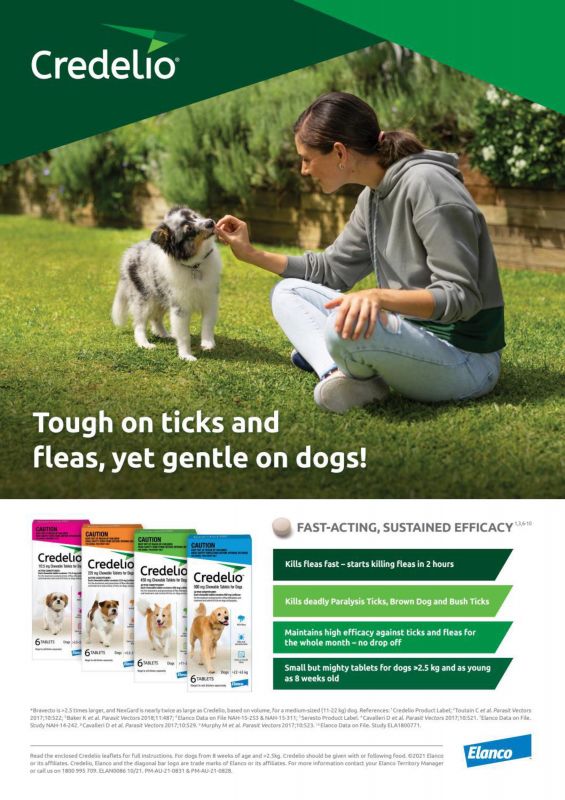Credelio---kw---Animal_Health_Category---Vet_Practice_-_November_2021---vet---Australia---English---Print_Ad---pSP.jpg