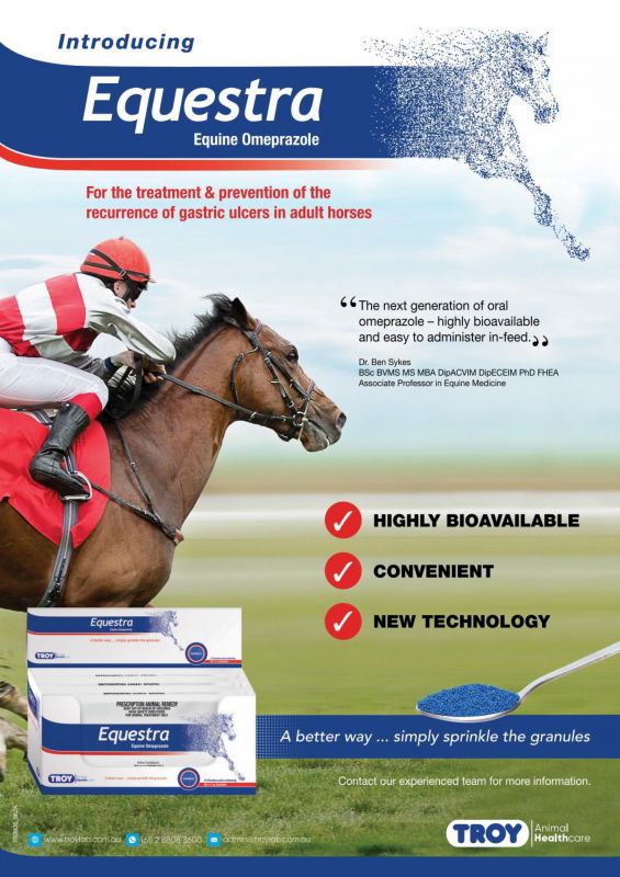 Equestra---kw---Animal_Health_Category---Vet_Practice_-_November_2021---vet---Australia---English---Print_Ad---pSP.jpg