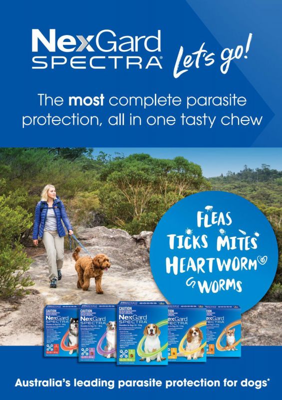 Nexgard---kw---Animal_Health_Category---Vet_Practice_-_November_2021---vet---Australia---English---Print_Ad---pSP.jpg